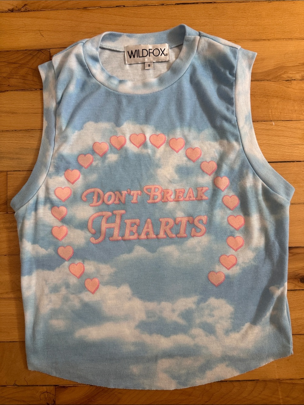 Wildfox Blue and Pink 'Don't Break Hearts' Cloud Tank Small